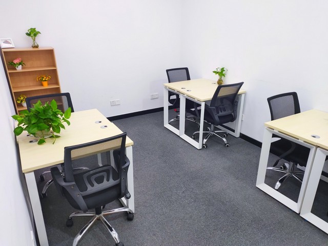 四川雷萨起重机